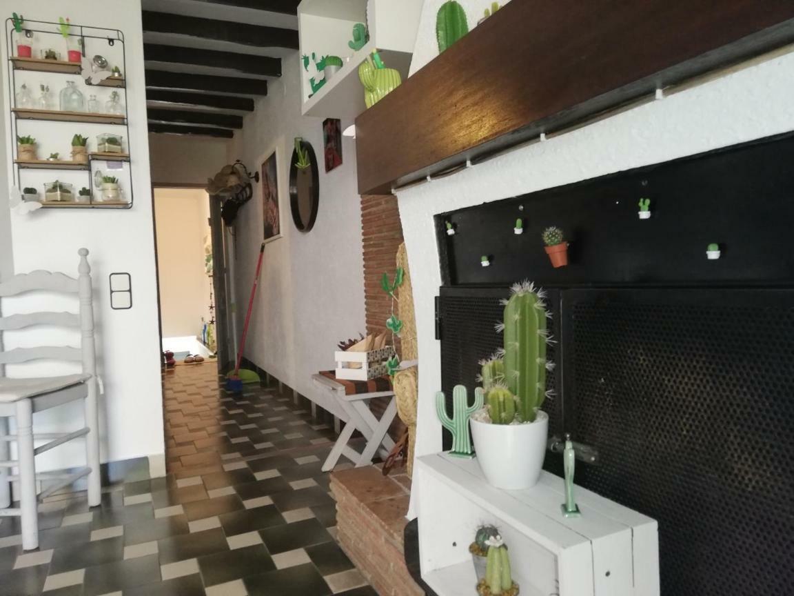 Can Cactus Garriguella Zewnętrze zdjęcie